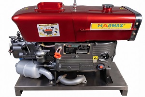 Moteur diesel HAOMAX ZS195
